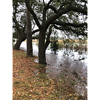 Norfolk mid November high tide and Storm event image